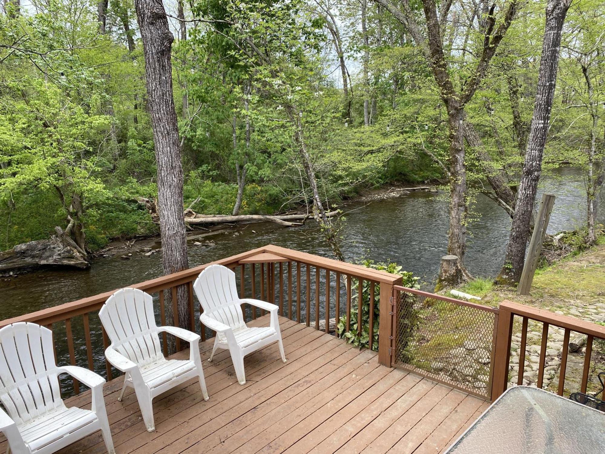Gray'S Place On Cosby Creek - 2 Bedrooms, 2 Baths, Sleeps 6 Home Exterior foto